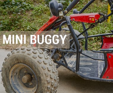 Linha Mini Buggy