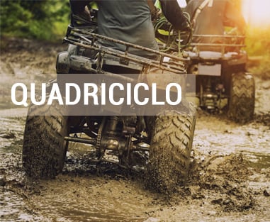 Linha Quadriciclo